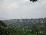 Ingrandisci