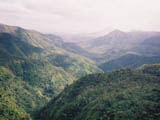 Ingrandisci