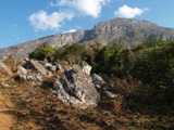 Ingrandisci