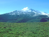 Ingrandisci