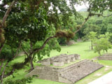 Ingrandisci