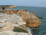 Ingrandisci