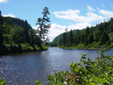 Ingrandisci