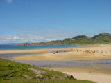 Ingrandisci