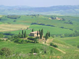 Ingrandisci