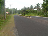 Ingrandisci