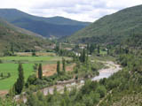 Ingrandisci