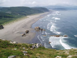 Ingrandisci