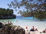 Ingrandisci