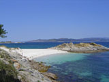 Ingrandisci