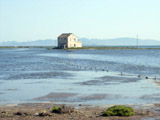 Ingrandisci