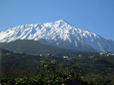 Ingrandisci