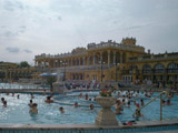 Ingrandisci