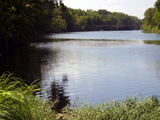 Ingrandisci