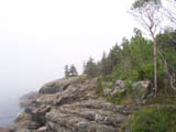 Ingrandisci
