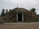 Ingrandisci