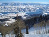 Ingrandisci