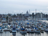 Ingrandisci