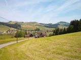 Ingrandisci