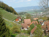 Ingrandisci