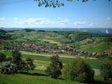 Ingrandisci