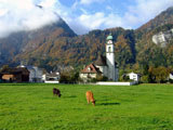 Ingrandisci