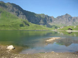Ingrandisci