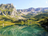 Ingrandisci