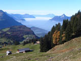 Ingrandisci