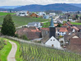 Zum Vergr��ern klicken