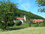 Ingrandisci