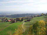 Ingrandisci