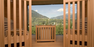 Biosauna